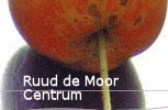 Datei:Ruud de Moor.png