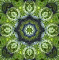 Kaleidoskop.jpg