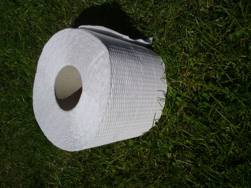 Datei:Toilettenpapierrolle.jpg