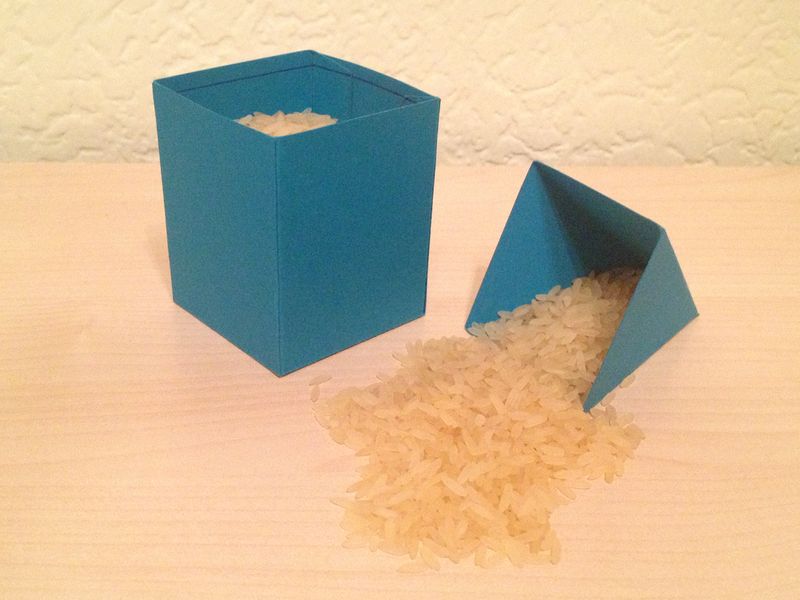 Datei:Körperpaar mit Reis.jpg