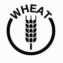 Grain-wheat-400.jpg