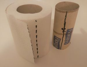 Toilettenpapier.jpg