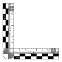 Photomacrographic-scale-10x10-msc1.svg