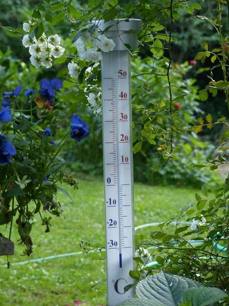 Datei:Thermometer im Garten.jpg