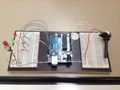 Arduino-Lauflicht mit Schalter und Potentiometer.JPG